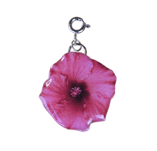 𝑪𝒉𝒂𝒓𝒎𝒔 𝒎𝒂𝒈𝒂 𝒗𝒊𝒏𝒕𝒂𝒈𝒆