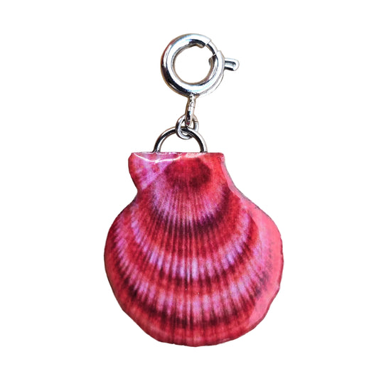 𝑪𝒐𝒏𝒄𝒉𝒂 𝑪𝒂𝒓𝒎𝒆𝒔𝒊