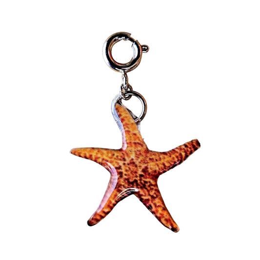 𝑪𝒉𝒂𝒓𝒎 𝑬𝒔𝒕𝒓𝒆𝒍𝒍𝒂 𝒅𝒆 𝒎𝒂𝒓 𝑪𝒆𝒓𝒖