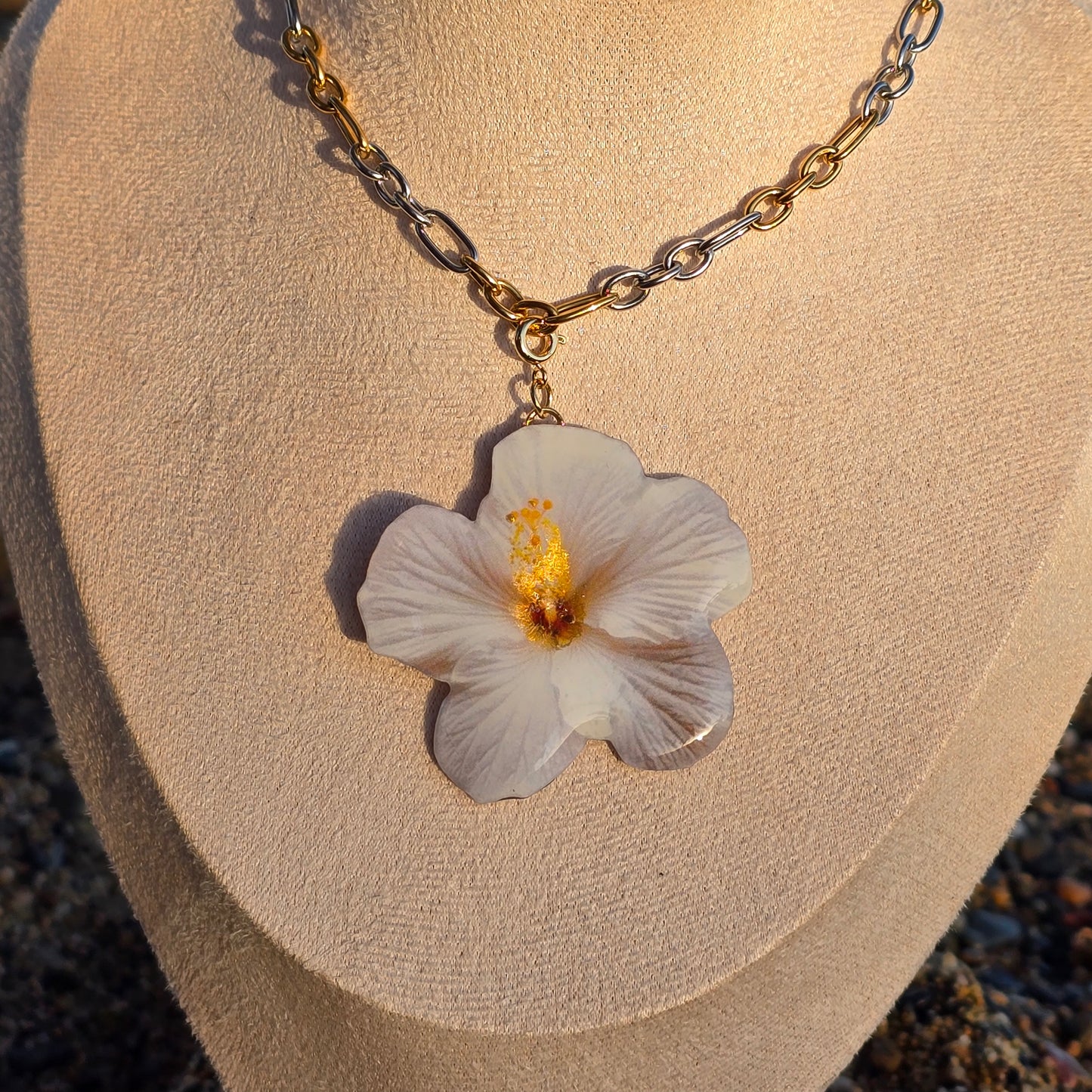 𝑪𝒉𝒂𝒓𝒎𝒔 𝑯𝒊𝒃𝒊𝒔𝒄𝒖𝒔 𝑩𝒍𝒂𝒏𝒄𝒐